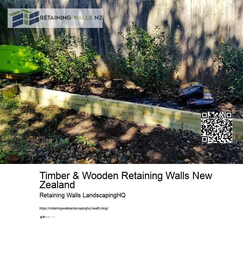 Wall Repair NZ